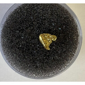 GOLD NUGGET ALASKA NATURAL HAND PICKED RAW FINE .191 grams